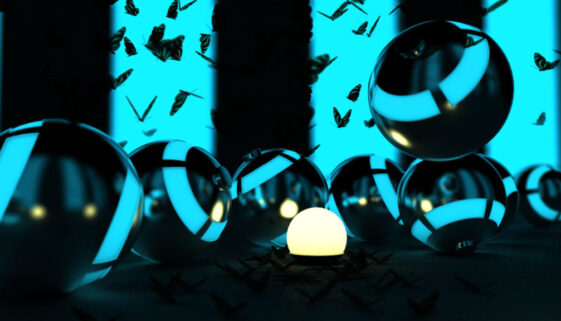 butterfly0066