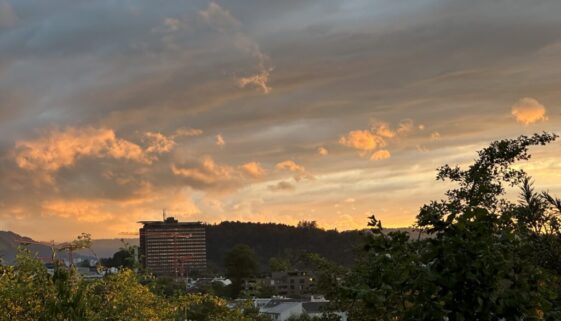 IMG_1579
